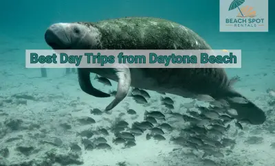 Best Day Trips from Daytona Beach